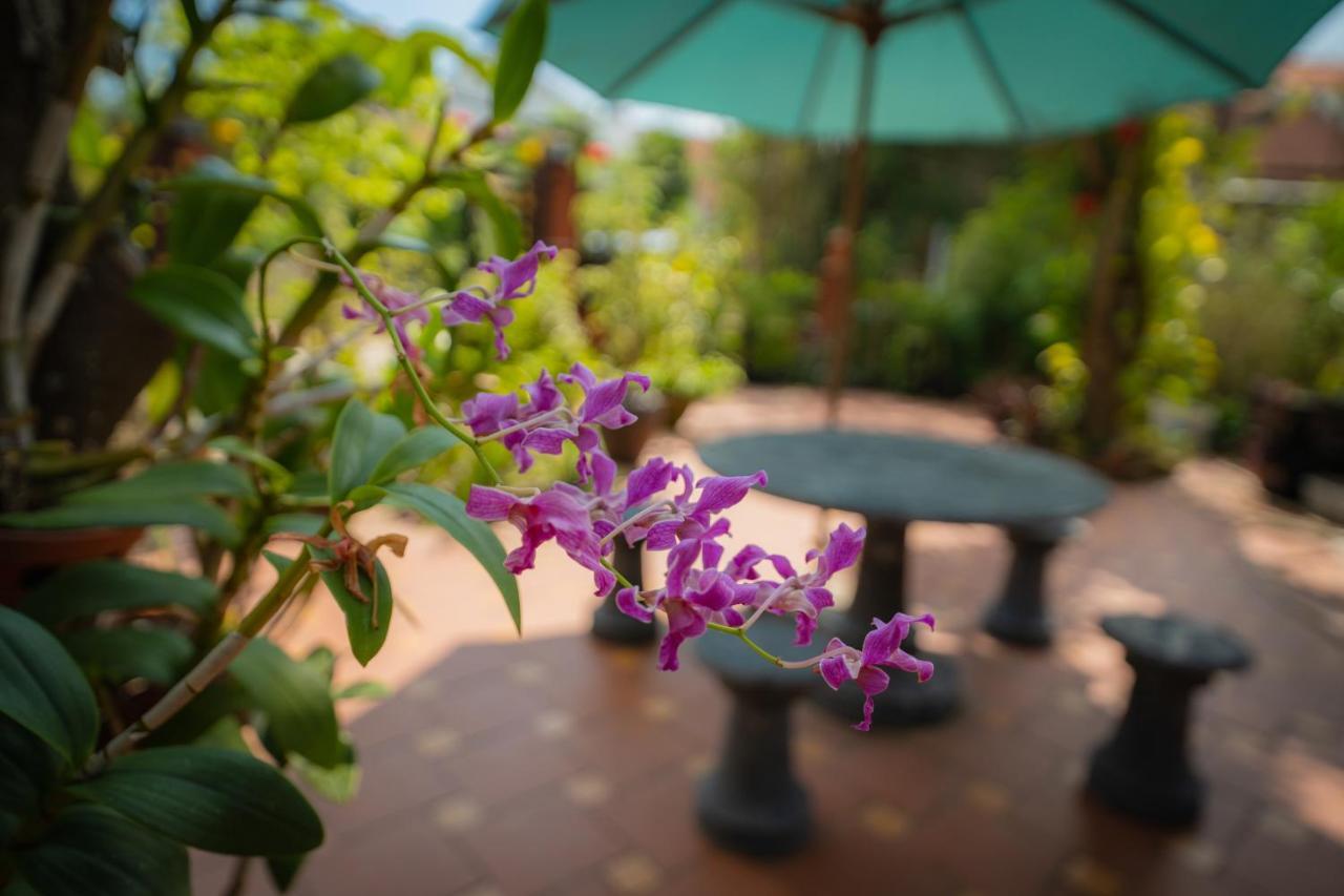 Strawberry Garden Homestay Hoi An Exteriör bild